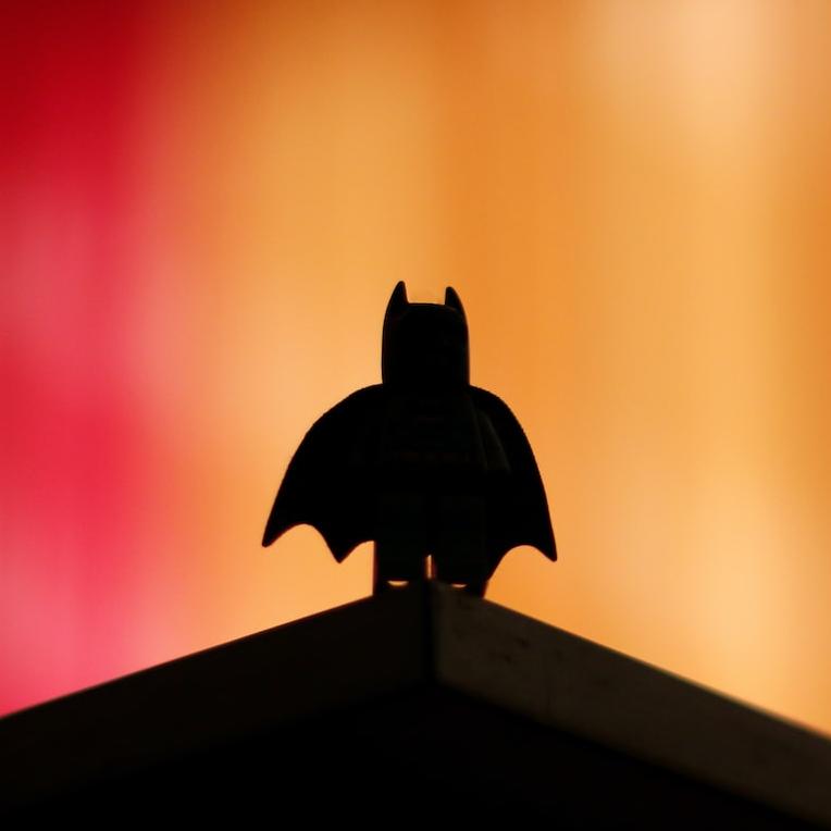 silhouette of bird on top of brown wooden shelf
